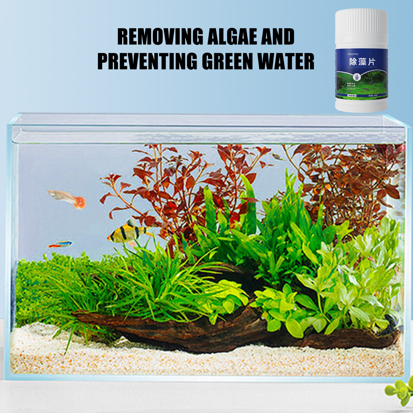 150 Tables Aquarium Algae Clea – Cleaner Fish Aquarium Bewertung und Preis
