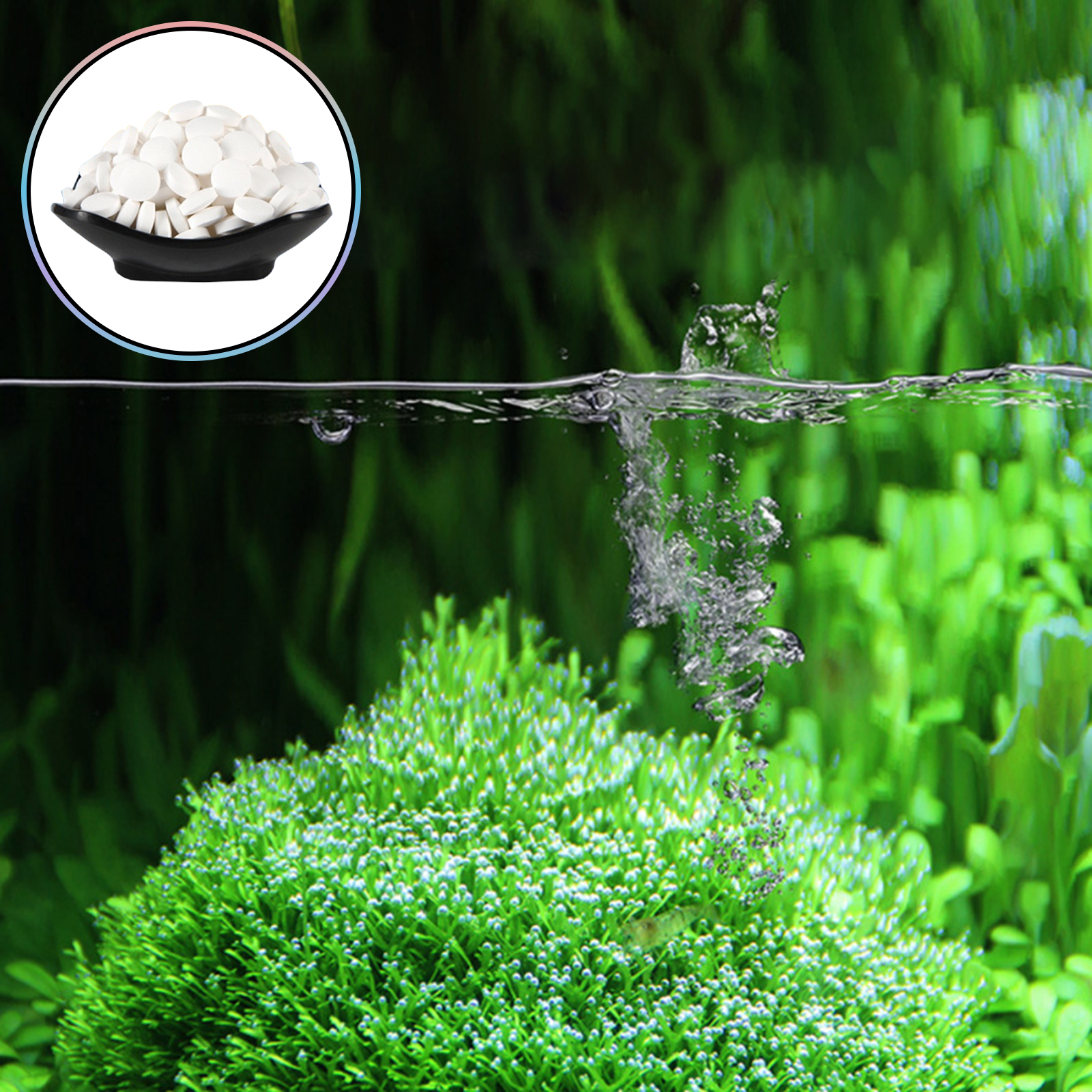 150 Tables Aquarium Algae Clea – Cleaner Fish Aquarium Bewertung und Preis