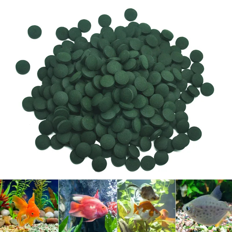50-300Pcs High Purity Spirulin – Aquarium Fish Food Bewertung und Preis