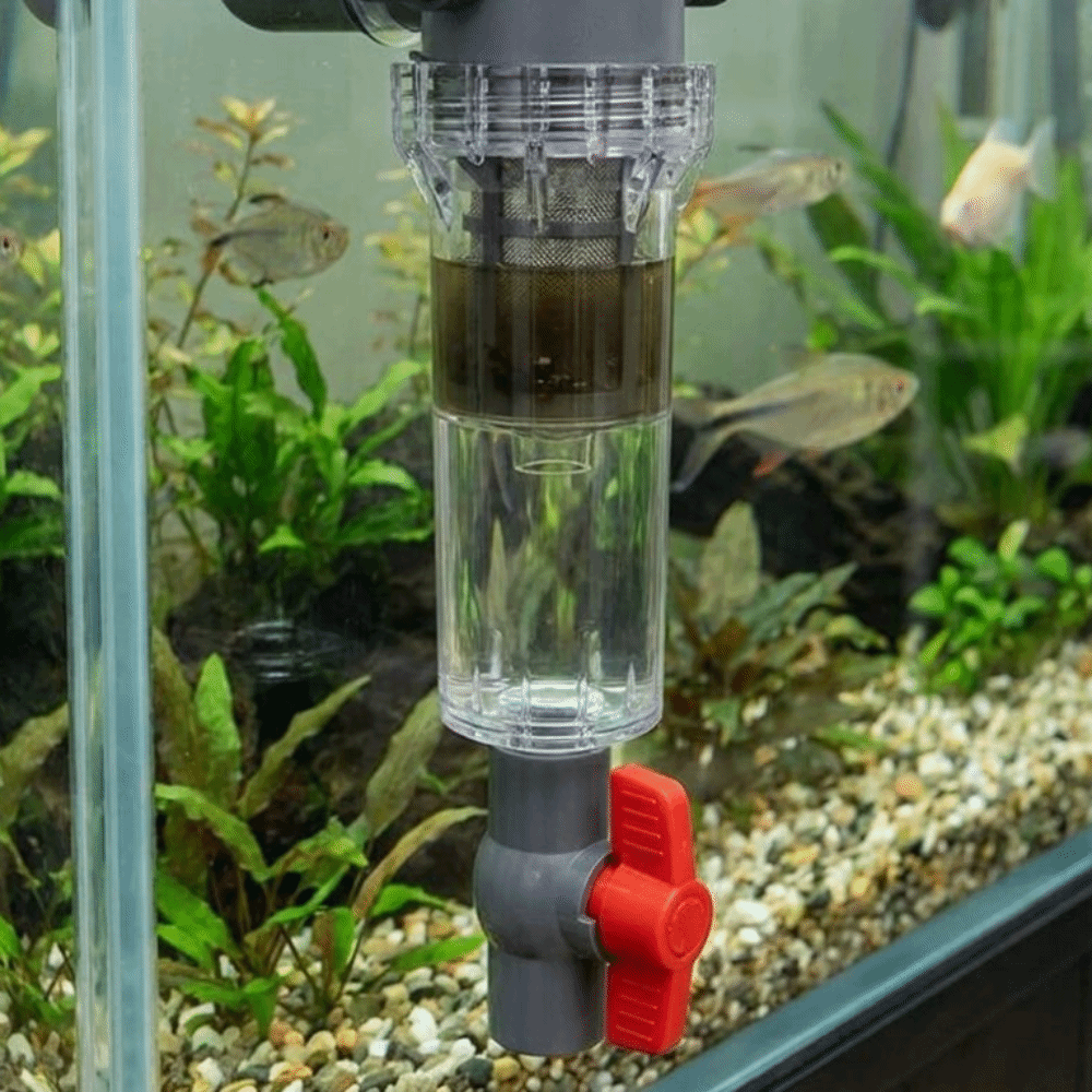 1/2 Thread Aquarium Feces Sepa – Aquarium Fish Waste Collector Bewertung und Preis