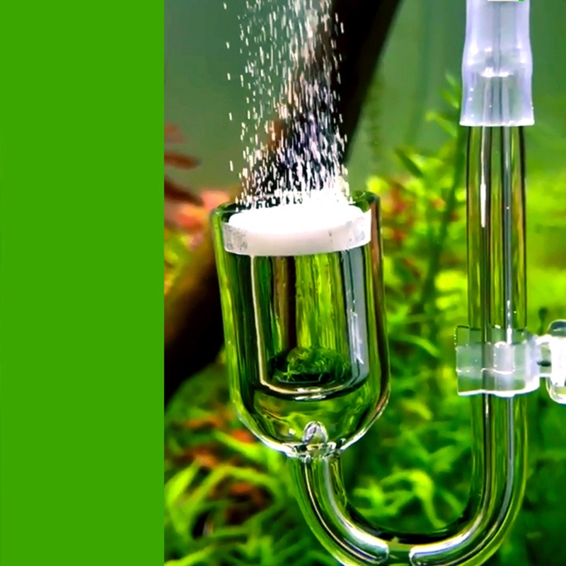 Nano CO2 Diffuser Glass Atomiz – Co2 Diffuser Planted Bewertung und Preis