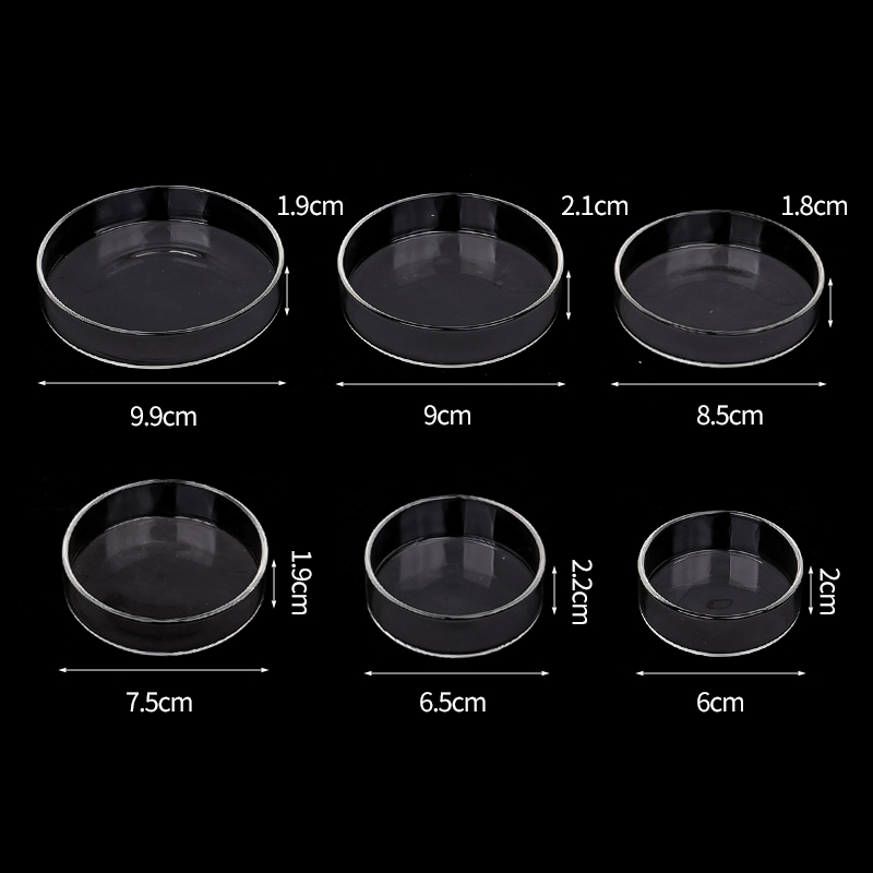 Shrimp Feeding Dish High Trans – Aquarium Fish Food Bewertung und Preis