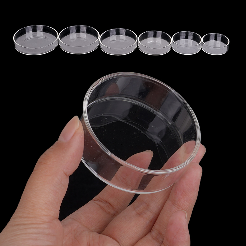 Shrimp Feeding Dish High Trans – Aquarium Fish Food Bewertung und Preis