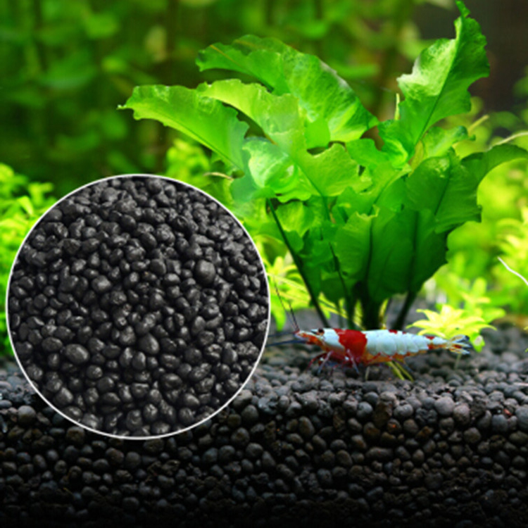 Aquarium Plant Seeds Soil Fish – Aquarium Fish To Buy Bewertung und Preis
