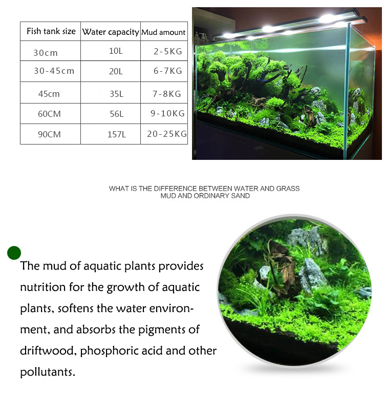 Aquarium Plant Seeds Soil Fish – Aquarium Fish To Buy Bewertung und Preis