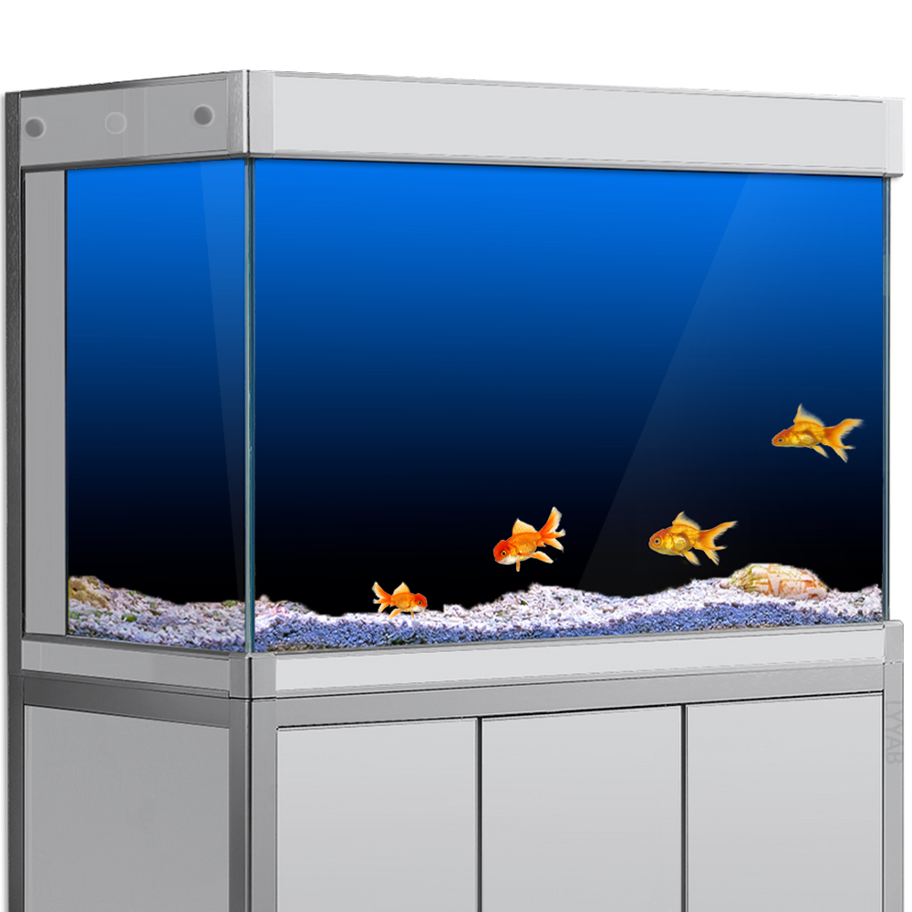 Fish Tank Background Sticker B – Aquarium Fish Background Bewertung und Preis