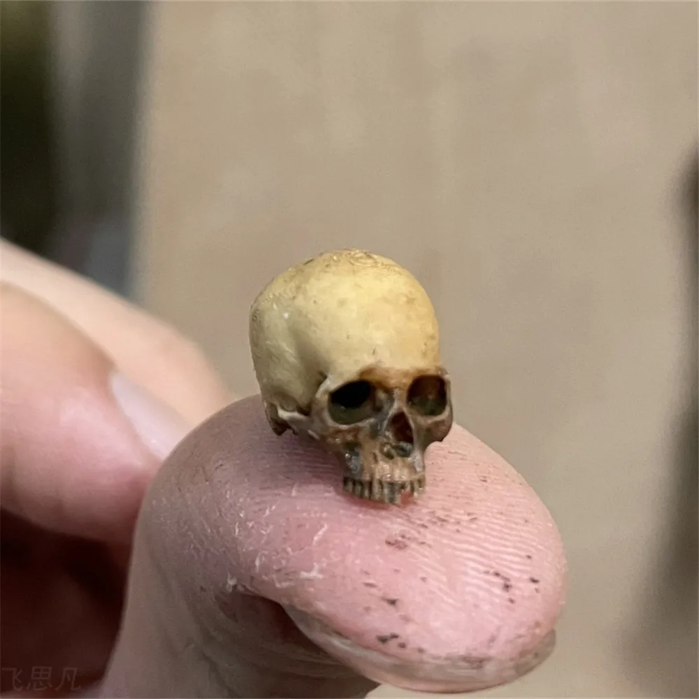 Mini Skull High Quality Miniat – Aquarium Fish To Buy Bewertung und Preis