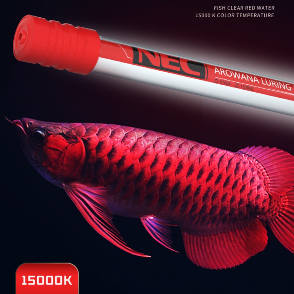 NEC-Arowana Lamp Color Brighte – Aquarium Fish Colorful Bewertung und Preis