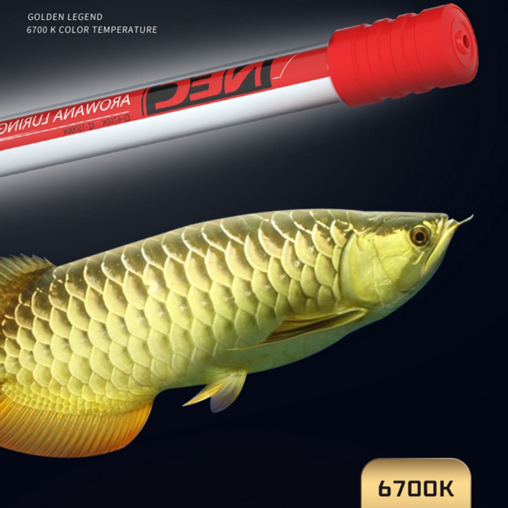 NEC-Arowana Lamp Color Brighte – Aquarium Fish Colorful Bewertung und Preis