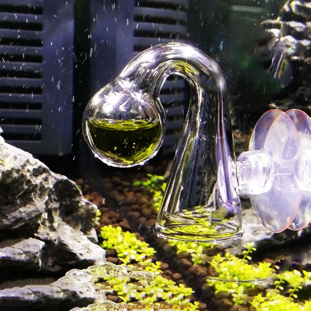 Fish Tank CO2 Diffuse Glass Dr – Co2 Diffuser Planted Bewertung und Preis
