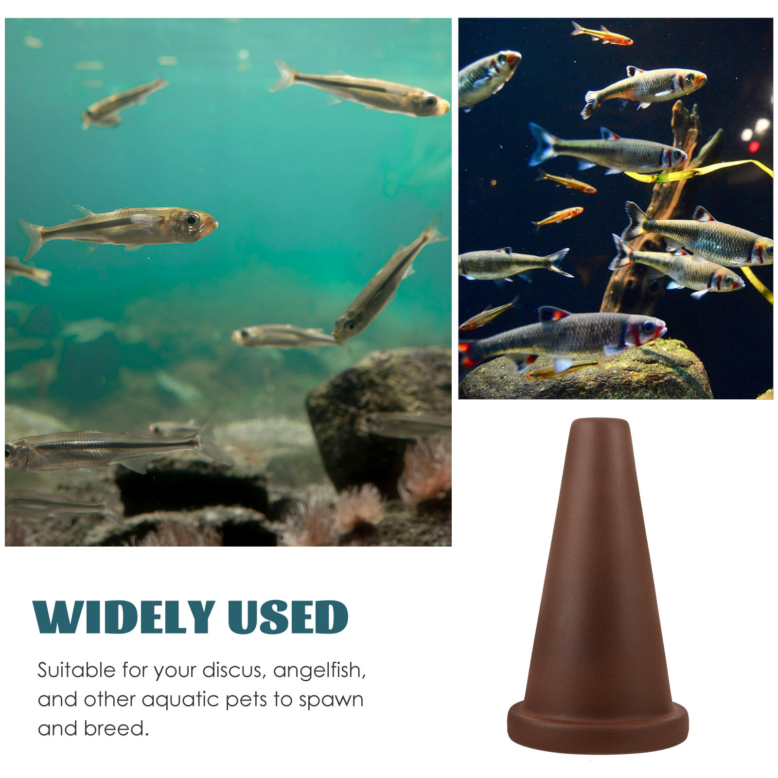 Fish Breeding Cone Cave Purple – Aquarium Fish Discus Bewertung und Preis
