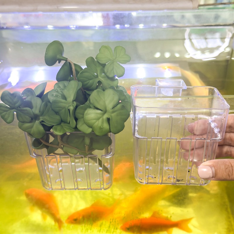 1/5pcs Aquarium Decoration Pla – Aquarium Fish To Buy Bewertung und Preis