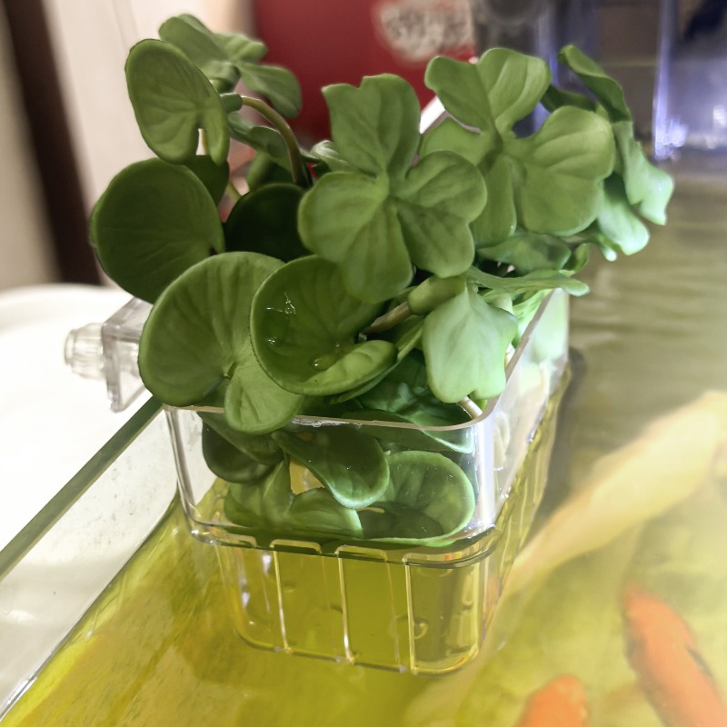 1/5pcs Aquarium Decoration Pla – Aquarium Fish To Buy Bewertung und Preis