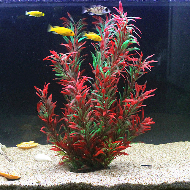 50CM Artificial Fish Tank Rare – Aquarium Fish To Buy Bewertung und Preis