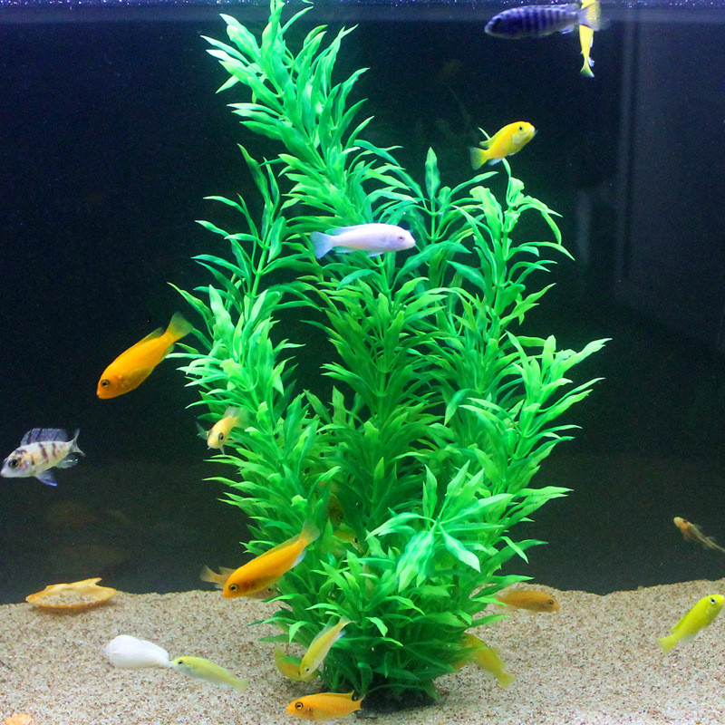 50CM Artificial Fish Tank Rare – Aquarium Fish To Buy Bewertung und Preis
