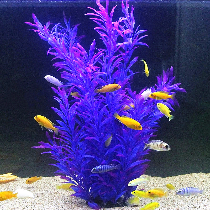 50CM Artificial Fish Tank Rare – Aquarium Fish To Buy Bewertung und Preis