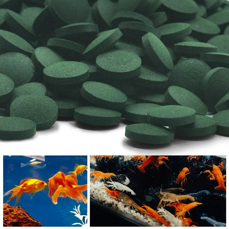 100-1500Pcs High-Purity Spirul – Aquarium Fish Food Bewertung und Preis
