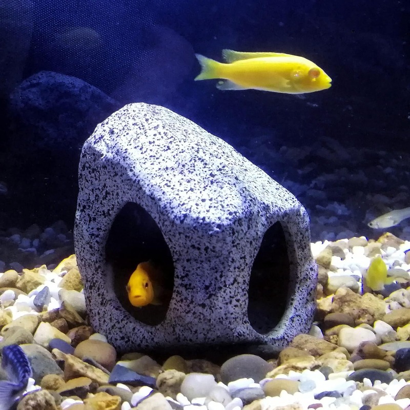 Fish Tank Cave Stone Landscapi – Aquarium Fish Enrichment Bewertung und Preis