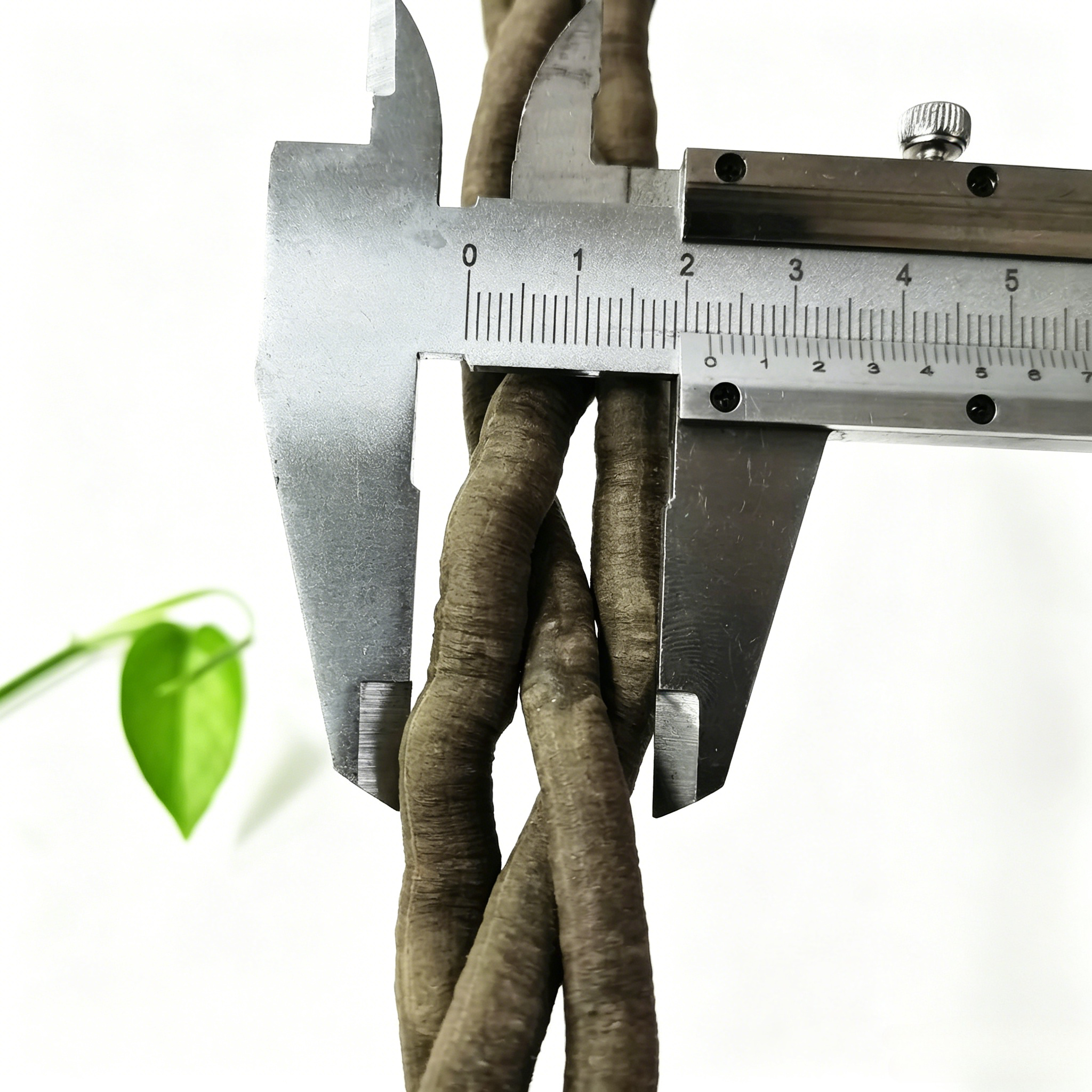 100cm Artificial Vine Plant Cl – Aquarium Fish To Buy Bewertung und Preis