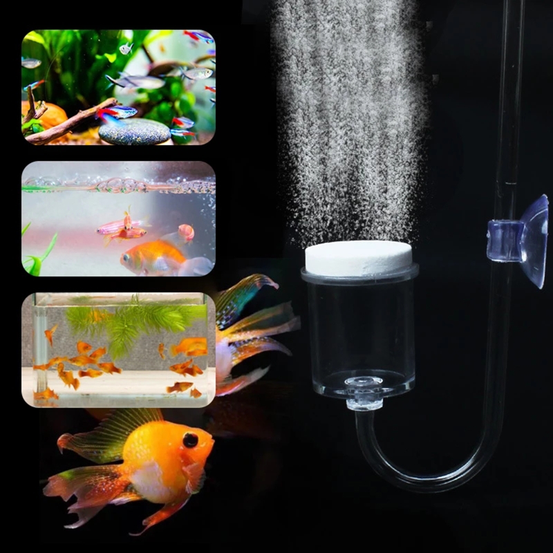 4pcs Set DIY CO2 Diffuser For  – Co2 Diffuser Planted Bewertung und Preis