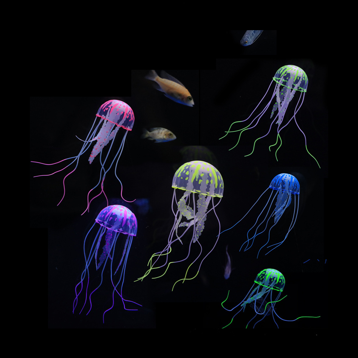 1 Pc Coral Moon Jellyfish Aqua – Aquarium Fish Discus Bewertung und Preis